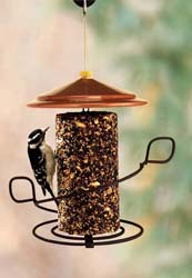 Decorative Seed Cylinder Feeder