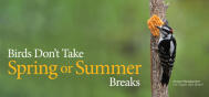 EDU Seasonal Spring Summer 2102E